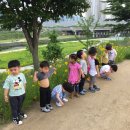 유천천 이미지