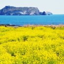 한림꽃농원 이미지