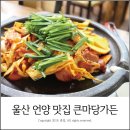 큰마당가든 이미지