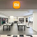 삼성·LG는 안 되는데 중국 샤오미는 된다?… 소비쿠폰 형평성 논란 이미지