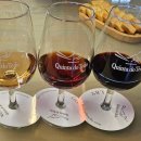 연주농장 | 포르투갈 16박 17일 4일차 후기