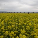 초지공원(상) 이미지