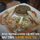 대포항 제1주차장 | 속초 대포항 맛집 오마카세로 즐기는 대게세트 선복호활어