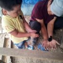 두학농장 이미지