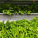 도안종로한약국 이미지