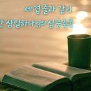 순환의 축복 이미지