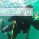 41190-01-07-253 | 제주도 여행 숙소 추천 제주 인피니티 제주 인피니티, 물놀이에 최적