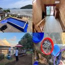 오투펜션 | 충청도 태안 오투오션펜션 솔직 후기 수영장 갯벌체험 개별바베큐 완비 가족숙소 추천