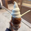 와글와글 일상) 아무고토 안 하고 못 배기는 인간