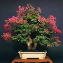 삼성사슴농장 이미지