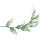 목포치과의원 이미지