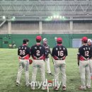 아마미