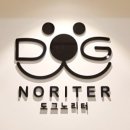 도그노리터 이미지
