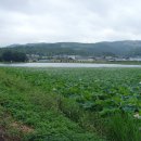 운대2리 이미지