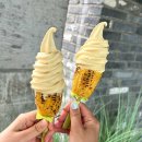 옥수수맛집 이미지