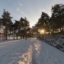 능산리 고분군 전시관 이미지