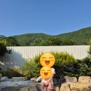 [경주] 래태리펜션 옆집 아기랑 풀캉스 후기(노천탕, 수영장, 객실)