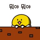 프렌즈어린이집 이미지