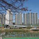 금천구청 이미지