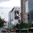 피카소광고 이미지