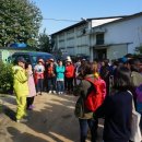 배씨농장 이미지