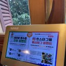 하노이안브라더스 네이버블로그