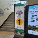 도천재 단서죽백 | 경남 함안박물관/말이산고분전시관/함안말이산고분군 9월여행(왕따벚꽃나무 위치)
