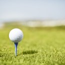 모아카서비스 이미지