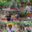 짐이 bnt뉴스