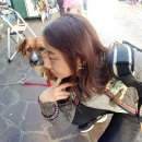 플로리안(3) 이미지