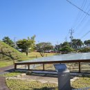 월계천1 이미지