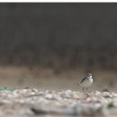 서율농장 이미지