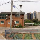 장흥 2리 이미지