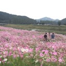 경천 이미지