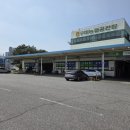 농산물도매시장 | 구미 농산물 도매시장 참외 구매 후기