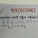 도레미피아노음악교습소 이미지