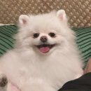 (주) 헤이데이 | 강원도 양양 숙소 &lt;헤이데이스테이&gt; 후기 #휴가 #극성수기 #내돈내산