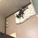 개러리아 이미지