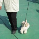 데이빗