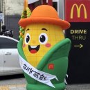 김선태농장 | 맥도날드 충주찰옥수수버거 충주사람이 맛본 후기 (충주찰옥수수치즈크로켓버거)