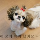 모델독 이미지