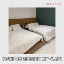 하운드호텔 대구성서 이미지
