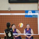 홍천해당화 이미지