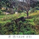 이로천 네이버블로그