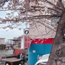 경화벚꽃한의원 | 진해 경화역 맛집 겐쇼심야라멘 일본식 라멘 내돈내산 솔직후기