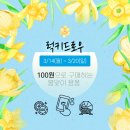 댄디바이크 이미지