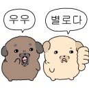 농부꼬마김밥