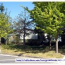 동문동538 이미지