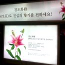 [사진]“경조화환, 조화 대신 생화로 진심의 향기를…” 이미지