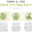 아이비이 이미지